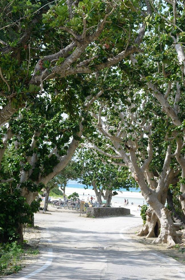 コンドイビーチ到着