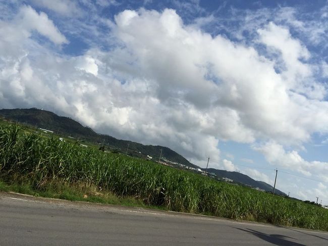 うーん、このゆるりと流れる時間がたまりませんな。