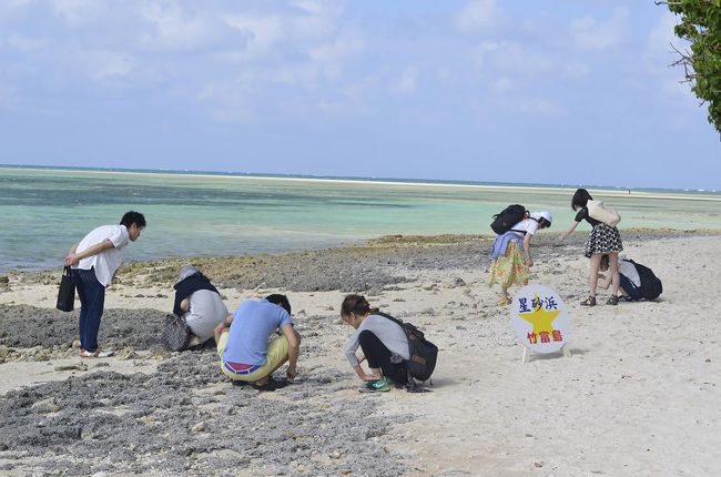 続いてガイシ浜。星砂有名なビーチです<br />みんな一生懸命星砂を探しています。