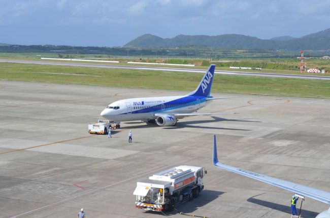 イルカ737かわゆす