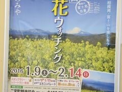 ＪＲ二宮駅に貼られているポスター

「早咲きの菜の花・相模湾・富士山を楽しもう」
吾妻山　菜の花ウォッチング
2016.1.9〜2.14
湘南にのみや