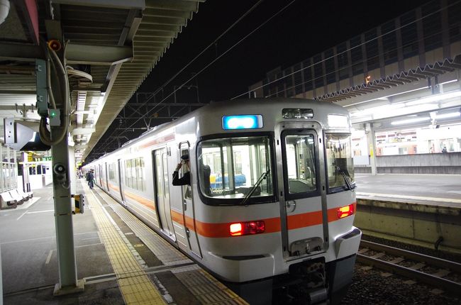 313系８両で来ました。快速名古屋行き。