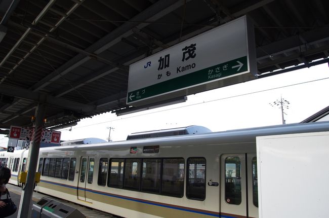 ここからは大阪天王寺行きの大和路快速で奈良まであと少し。