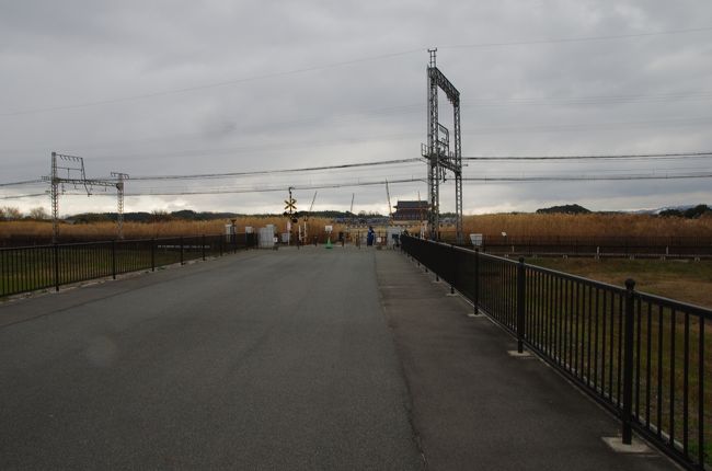 ちょっと迂回すると踏切がありました。<br />ここを越えると、