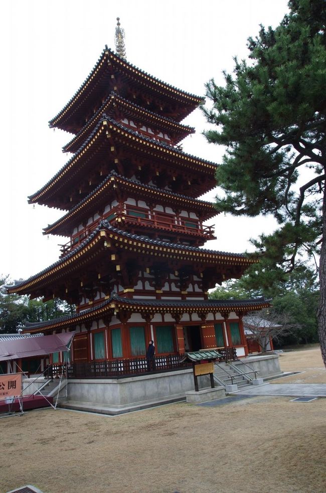 東塔と相対する西塔を見てます。<br />この西塔は昭和56年に再建されたもの。<br />今解体されてる東塔ももともとはこのくらい鮮やかな建物だったんだそうです。<br />１階のみ中が公開されています。