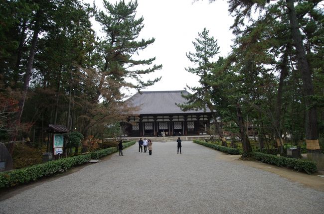 南大門をくぐると広い参道の先に国宝金堂が見えます。<br />金堂に向かって歩きます。