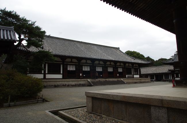 そして金堂の裏正面にあるのが講堂。<br /><br />ただしこの講堂、もともと平城京の東朝集殿と言う宮殿の建物を移築したもの。<br />現在に残る唯一の平城京宮殿建築です。