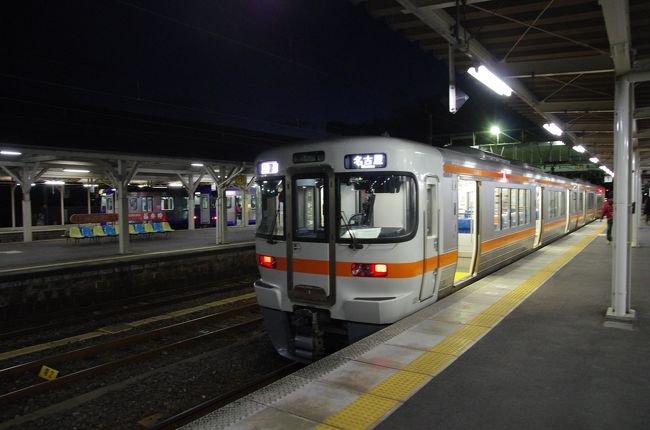 １７：５６発　普通電車名古屋行きで名古屋に戻ります。<br />名古屋着は１９：１６。約束の８時に間に合いました。<br /><br />ただ、古都奈良の文化財めぐりは中途半端になってしまいました。<br /><br />正月休暇は奈良に決定だな〜。