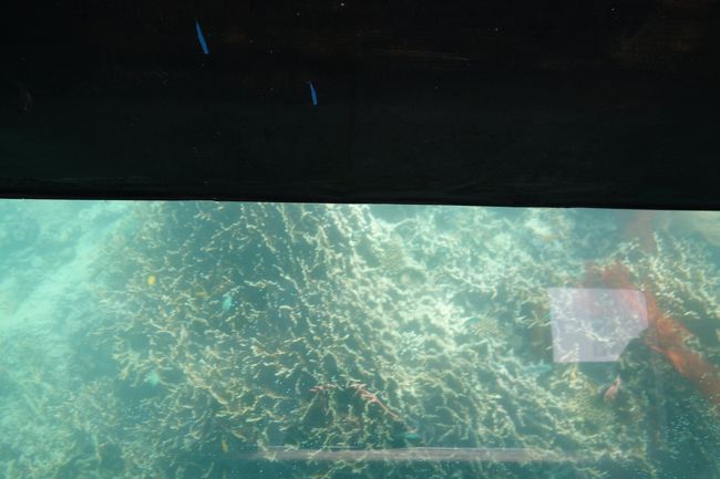 さっそくグラスボートに乗りました。<br />視界はというと、まあまあです。。。川平湾は遠くから全体を見るのが良いかな。