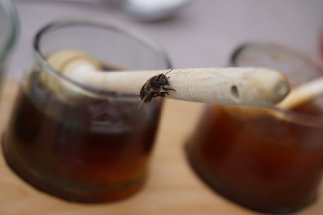 はちみつに寄ってくる蜂。