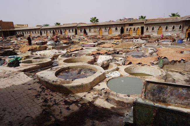 そのまま歩いてタンネリへ。ここがちょっと曲者･･･。<br />私たちは、自力で歩いてタンネリ方面に向けて歩いていました。時々「タンネリ？」と声がかかるけれど、スルーして。でも、実際にタンネリに着いたところで、中に入らないと見えない･･･。<br />で、それまで声をかけながら着いてきていたおにいさんに、連れられ、タンネリに。すると、親玉っぽい親父にバトンタッチ。片言の英語で（私もだけど）、愛想がいい。警戒心が先立ち、タンネリの見学なんて二の次。（写真は撮ったけど（笑））<br />で、ここから立ち去るとき。「ショップがあるから」ということで、100M先くらいまで連れて行かれる。大通りから外れ、ちょっとしんみりとした道を･･･マズイ。これは、マズイ…。<br /><br />結果、店の前で夫が「店はいいよ!!!ありがと。」と、さらっと伝えるものの、親父は不服そう。で、見学料ということで40DHを渡す。なおも食い下がる親父。こんなこともあろうかと、ポケットに入れておいた20DHをさらに、追加して渡す。さっさと歩いて大通りにでる、夫と私。<br />その後ろで、親父が子分が取り分を巡って争ってる。親父は大声を出し、子分を威嚇。この威嚇は、何気に私たちへの当てつけ感もありましたが…。<br /><br />実は、タンネリは怪しい…という情報が多く、見学に行くことに迷いもありました。でも、見たくて（笑）少々怖い思いもしましたが、ある意味、それがモロッコの一部の本当の姿でもあるのかな、と今となってはいい経験だったと思っています。<br />（事前に、タンネリ見学の相場を調べたり、店に連れて行かれる等の情報があったおかげで、心の準備ができました。）