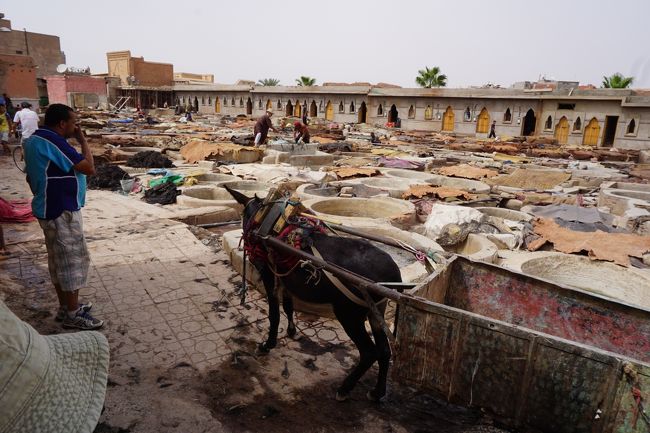 親分親父。<br />「写真。写真。どんどん撮って。」と、この時は、とてもにこやか。でも、うっすら透けて見えるんだよね…下心が…