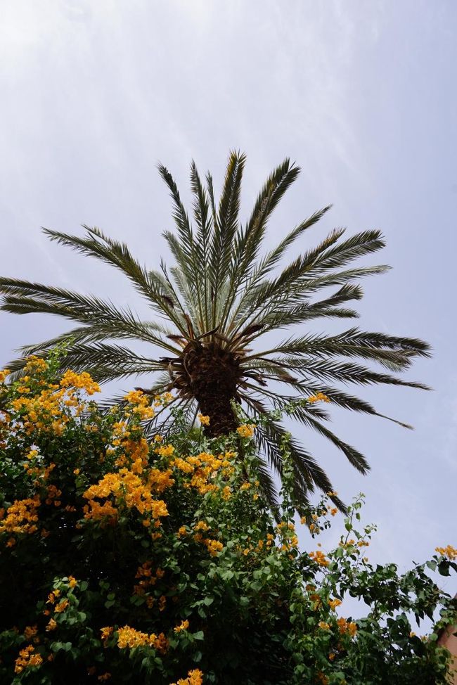 はぁー!!空がきれい!!!