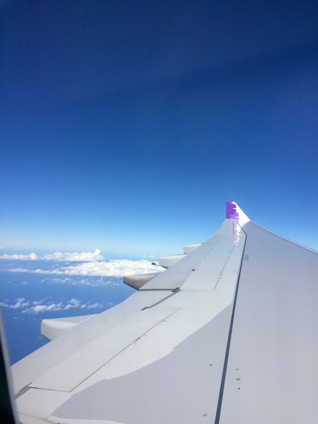 今回、予約したのが3月だった為、席を選んだ時はまだ空席も結構ありました。でも、やっぱりいい席は早くに埋まってしまっていた為、羽の上の席に〜<br />次回からはやっぱり羽は少し避けよう。笑