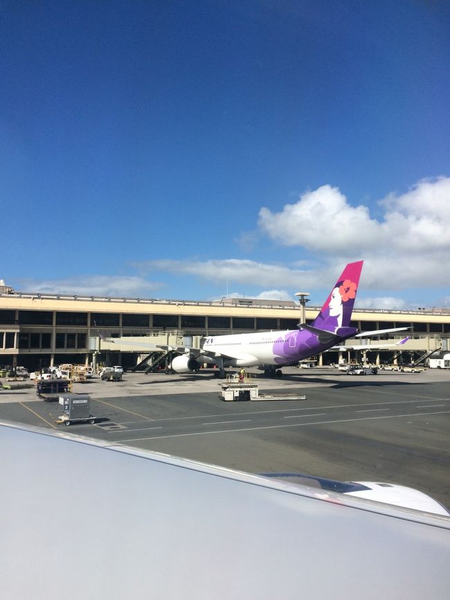 1年ぶりに帰ってきました。ようやく到着〜。着陸も揺れる事なく上手だったな〜。<br />しかも、珍しく耳が痛くない。笑<br /><br />お天気もいいしこれから1週間が楽しみ〜。<br /><br />到着時にはなぜか熱も下がっていつも通りの娘に回復！さすが夏生まれの夏女。。笑 知恵熱だったのか。。