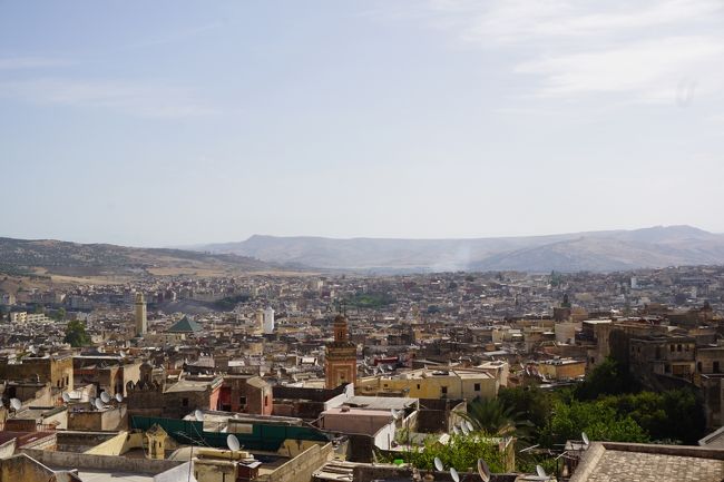 はぁ〜洗われる…