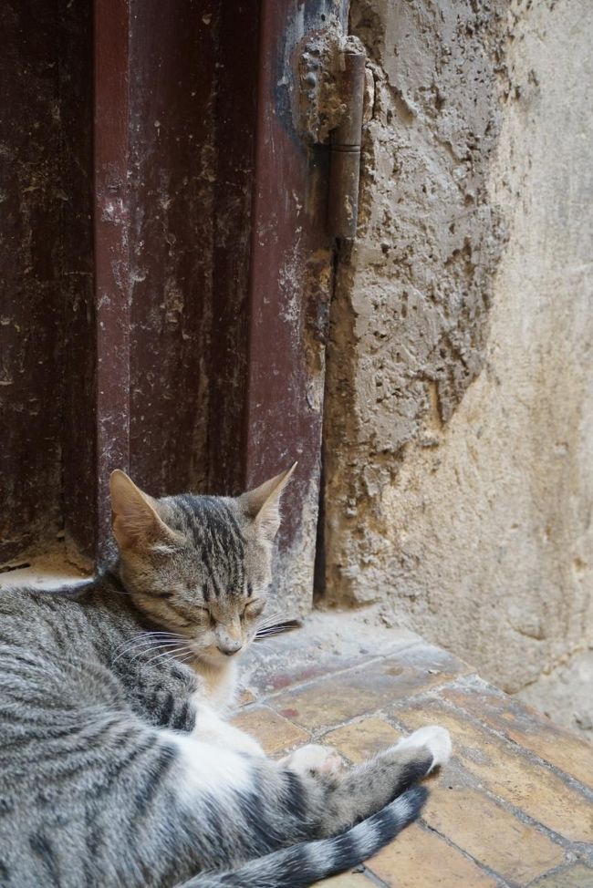 では、再びスークの中へ!!!<br /><br />