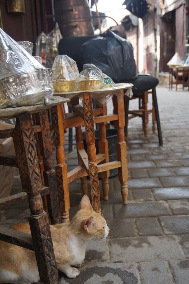 何を見てるの？