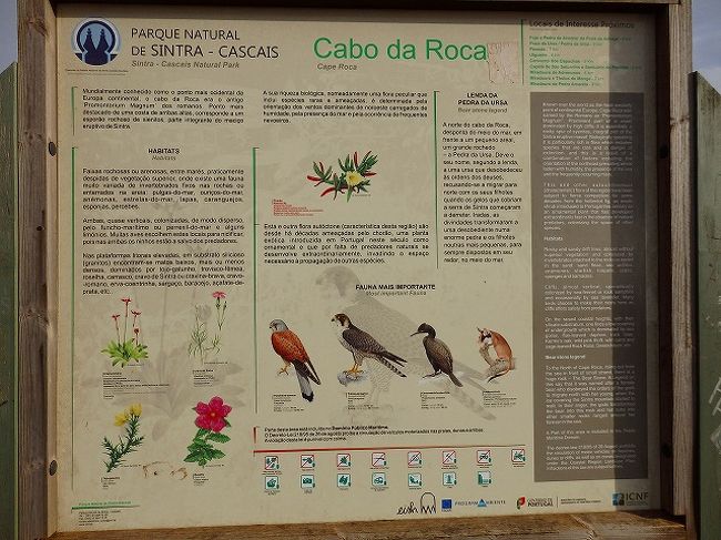 看板に何が書いてるか分からなくても、写真を撮ればなぜか安心する。