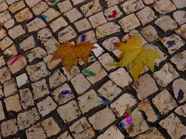 1月1日は、祭りの後の様相。