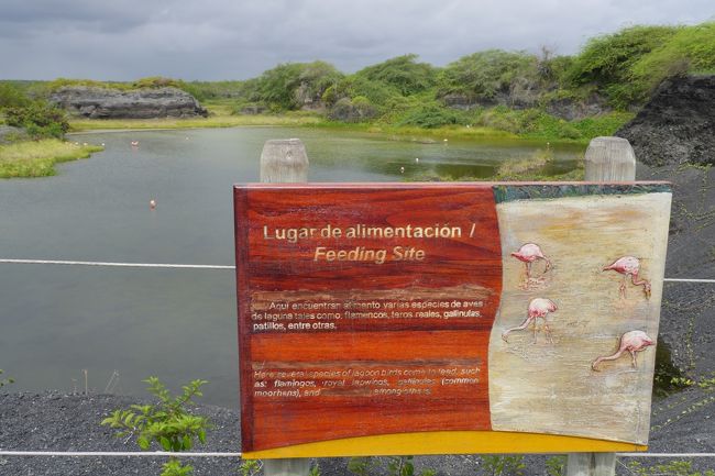 世界一周③ 13 ガラパゴス諸島』ガラパゴス(エクアドル)の旅行記 世界一周③ 13 ガラパゴス諸島』ガラパゴス(エクアドル)の旅行記