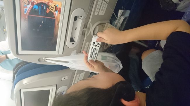 大韓航空チャーター機　座席は2-3-2<br />KE9051便でNRT-HNL　すでに座席指定がされており往復変更不可<br />旅行会社から6歳の息子用のキッズミールリクエストもできていました。<br />私はゴールドメダリオンですがチャーター機でも<br />スカイプライオリティ-タグ<br />空港ラウンジ利用<br />マイル加算は不可　ブッキングクラスが「V」だったので大韓航空の<br />マイルは加算されたかもしれません。。。未確認<br /><br />いつもは極寒の機内ですがトレーナーだと暑い温度でした。<br /><br />