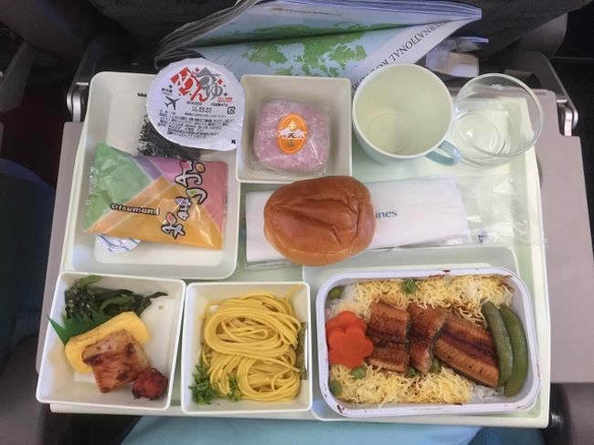 ベトナム航空でハノイへ。<br />機内食は和食と洋食から選択できます。<br />こちらは和食。ささやかながらご飯にうなぎが載ってます。