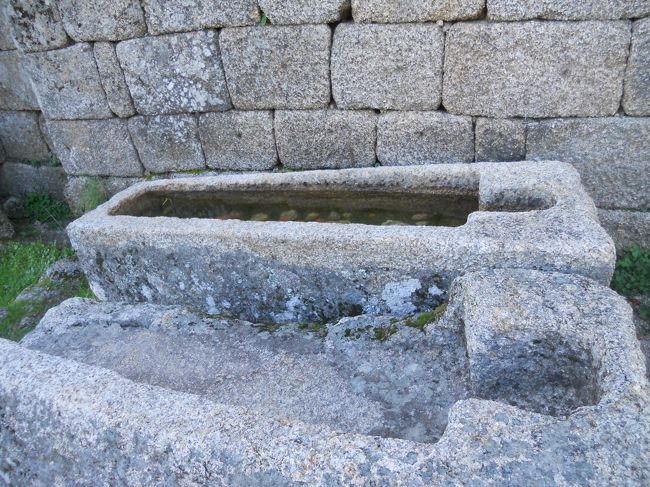 これは一体何だったんだろう。。