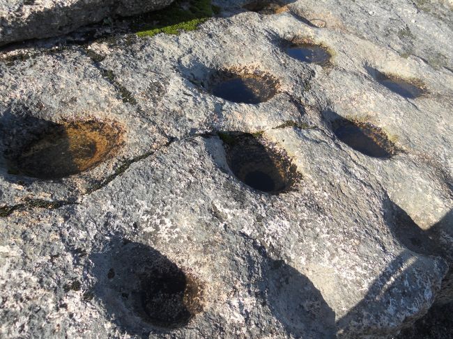 ポルトガル語勉強してまた来よう。。