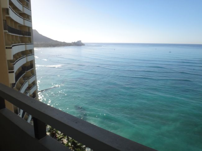 元旦の朝。ハワイ最終日( ; _ ; )