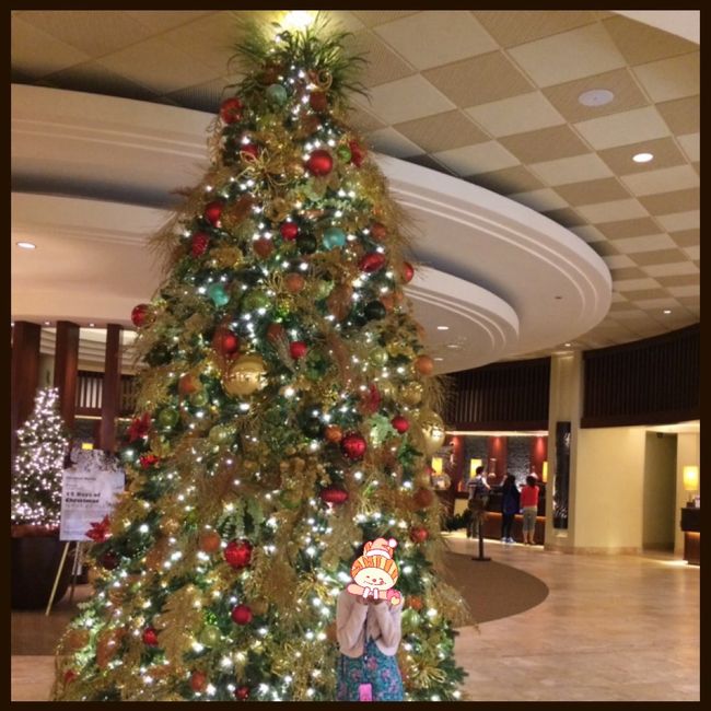 初日は疲れている為、早々ホテルへ戻り休みます。<br />こちらは、滞在ホテルのシェラトンワイキキ内のツリー。