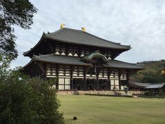 しばらく奈良公園内を散歩してから東大寺へ。昔来たことあるんだけど、ずいぶん久しぶり。やっぱり立派で綺麗だ。