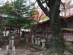 手向山八幡宮。手持ちのガイドブックには載っていないけど、雰囲気の良い神社で気に入った。混んでいないのも良い。