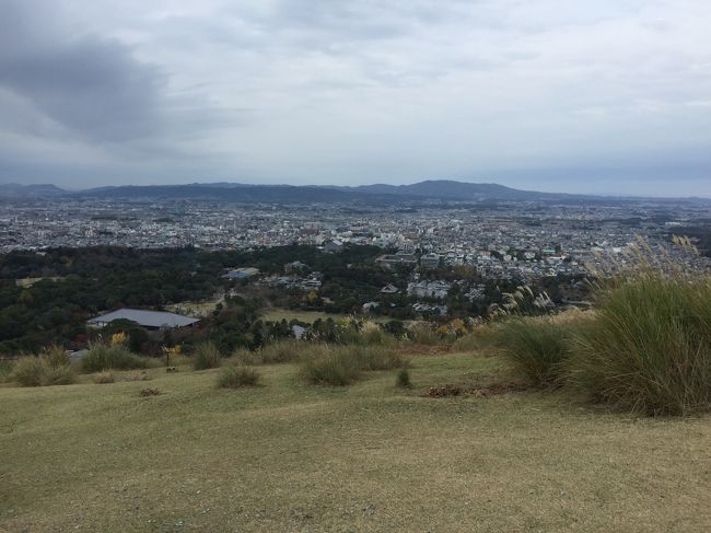 若草山の一合目まで登ってみた。入山料150円。階段が整備されているので登りやすかったけど、一合目ですでにゼイゼイ。時間にしたら登ったのは15-20分くらいなんだけど。<br />景色はとても良かった。ベンチに座ってお茶とチョコレートで一服。<br />三合目まであるんだけど、天気も怪しくなってきたのでしばらく休んでから下山。