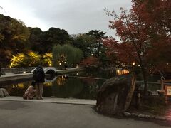 大きな池のある日本庭園。比較的こじんまりしているけど、のんびり出来て良かった。