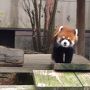 大牟田動物園に行ってきました