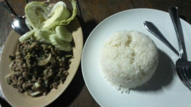 夜、お腹が空いたので宿の中にあるレストランで二度目の夕食。<br />疲れ果てて速攻寝ました。<br />翌日に続く。