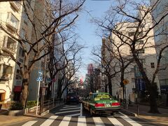 桜丘町のさくら通り。

渋谷駅周辺では一番の桜スポット。

渋谷駅からこの坂を登って来ると…。