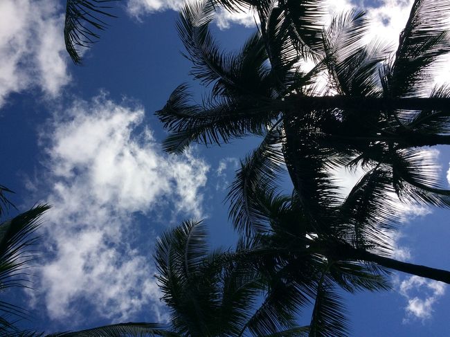 父娘遊んでいる間にママはのんびり日光浴〜<br /><br />この後、娘が呼びに来ました。<br />海外へ来ると誰かしら知り合いに会う我が家。今回は出発時は羽田でパパの仕事関係の人に遭遇〜<br />そして、滞在中は元教え子で今でもたまに集まるお友達ご家族に街中で遭遇。笑<br /><br />また誰かいたかな。と思ってたら、、<br /><br />出た！BIGな人。<br />パパ仲良くお話させてもらってる〜笑<br />今回も少しだけ繋がりがある方でした。<br />毎度思うけど、本当こういう時普通に仲良くなるパパ、、私には出来ない。笑<br />