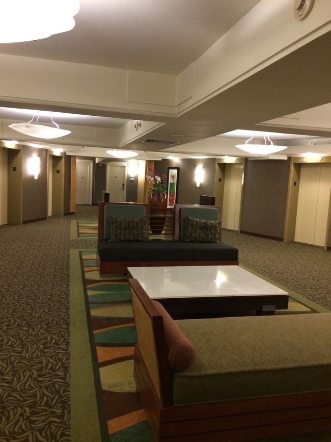 巨大ホテルだけに、エレベーターの数も多いです。笑<br /><br />確か10基あるのかな。。どこが来るのかわからない〜笑<br />円形になっていて、真ん中にはエレベーター待ち中一息つける大きなソファがいくつも。<br /><br />新しいお部屋、、希望通りになってるかな〜