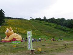 リフトもあるがここは徒歩で自力登山。
いかにもスキー場な斜面に黄色い花が目に入ってくる。