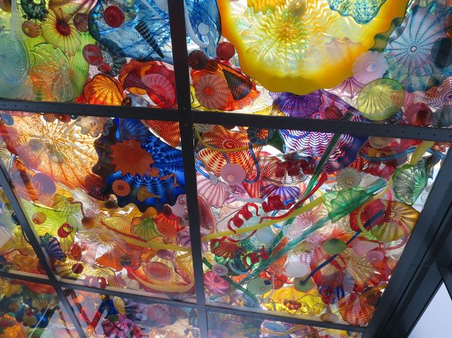 デール・チフーリと言うアーティストの作品が通路の天井に飾られていました。<br />ガラスのアートなので日の光を受けてキラキラしてとてもきれいです。これを見てシアトルに帰ってからこの方の美術館に見に行きました。