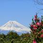 2015年最後の温泉旅～憧れの宿　西伊豆・富岳群青～