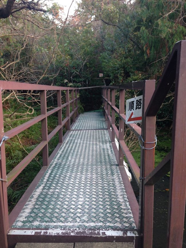 順路にしたがって進みましょう。