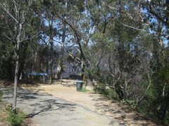 Honey Moon Lookout