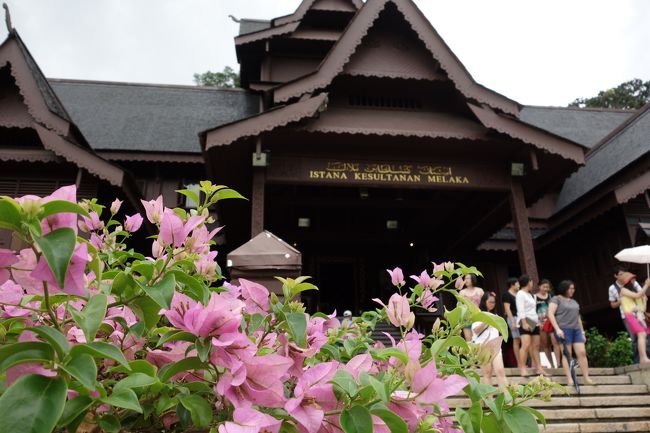 なかなか楽しめます。