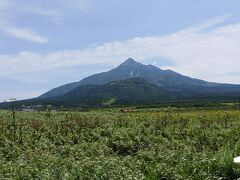 富士野園地では草原越しに利尻山を見ることができる。
山頂までしっかりと立派な山が見られた。