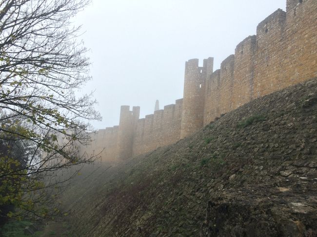 靄が晴れないなー。