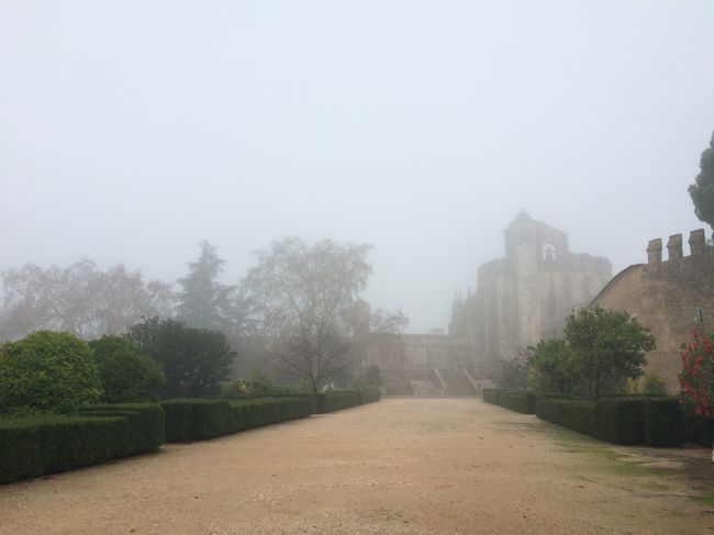 晴れた空の下で見たかった気もするけど、靄に包まれた姿も趣があっていいですね。