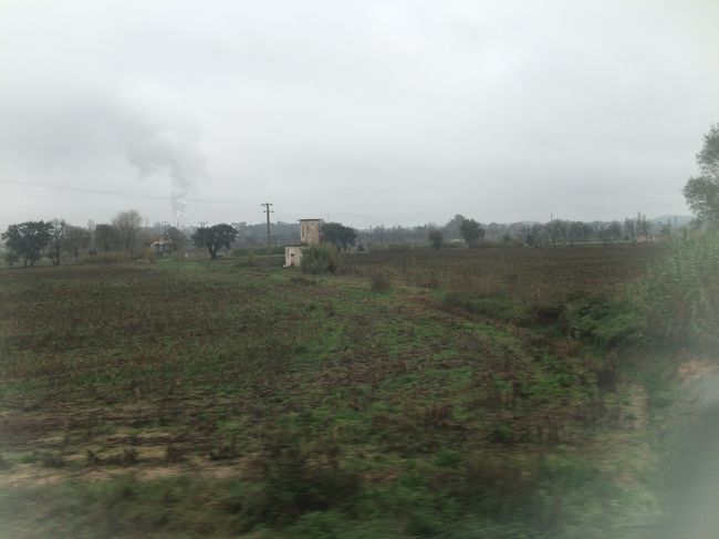 のどかな風景。